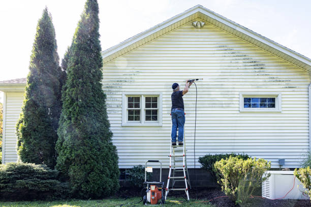 Best Patio and Deck Pressure Washing  in Homosassa Springs, FL